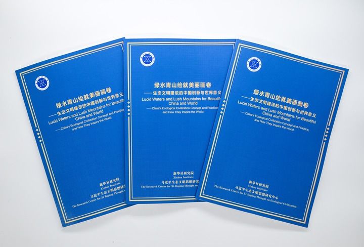 _共奏和谐乐章知识框架_和谐共鸣的意思